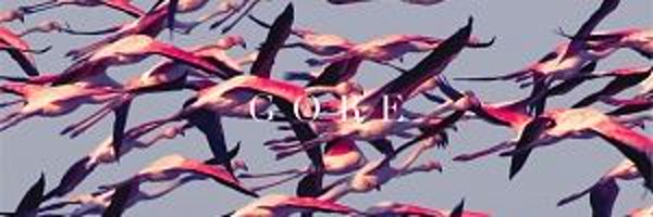 phaidon Profile Banner