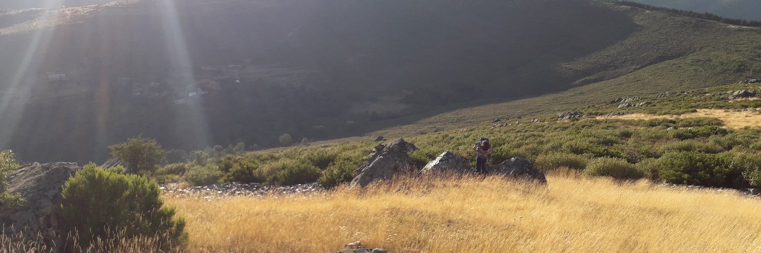 jmsanzalves banner