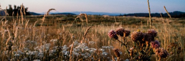 tedsuo Profile Banner