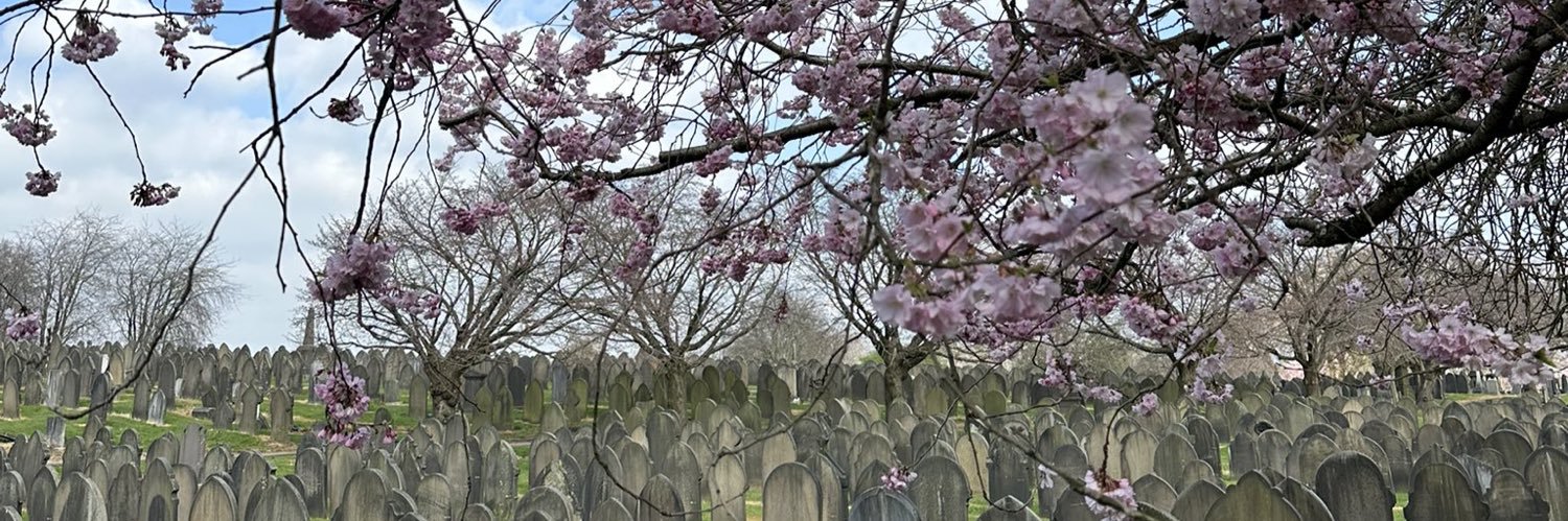 𝖏𝖆𝖘𝖒𝖎𝖓𝖊 ☾ ✩ ✧ banner