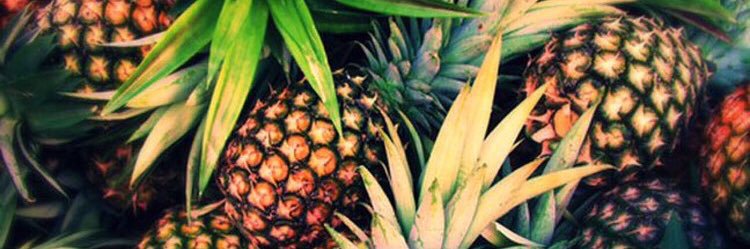 river__simpson's profile banner image
