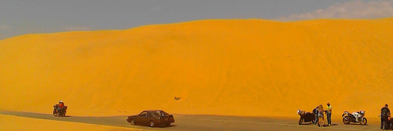 sayleo's profile banner image
