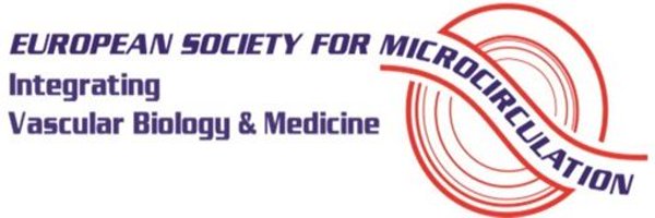 ESMicro_EU Profile Banner