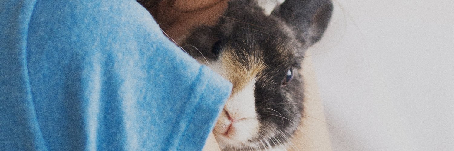 bun_gabs's profile banner image