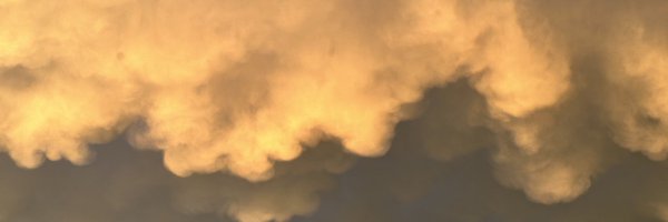 daredevilfemme Profile Banner
