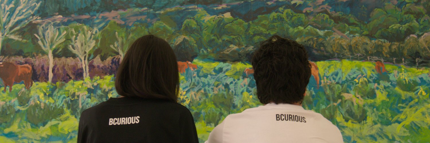 Bcurious banner
