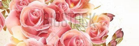 pagloma's profile banner image
