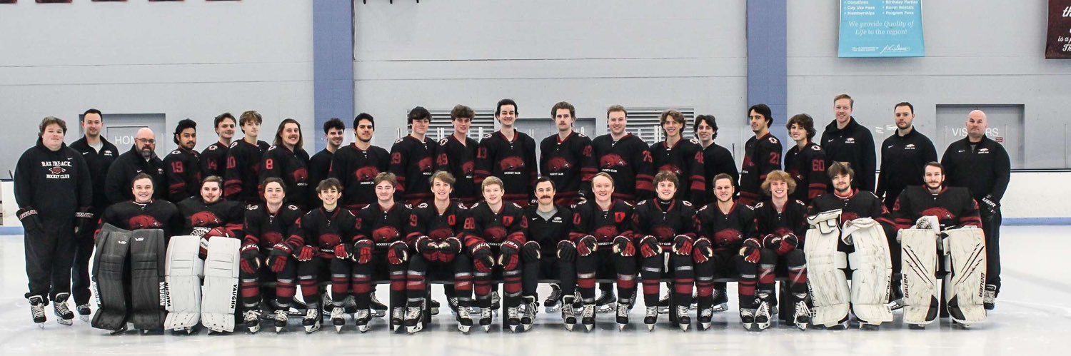 Razorback Hockey Club banner
