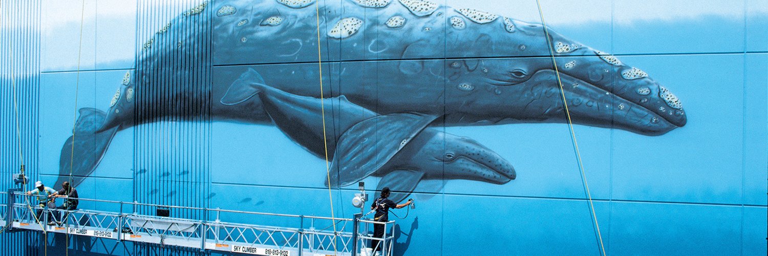 Wyland on Twitter ""So cool being able to drive my �64 