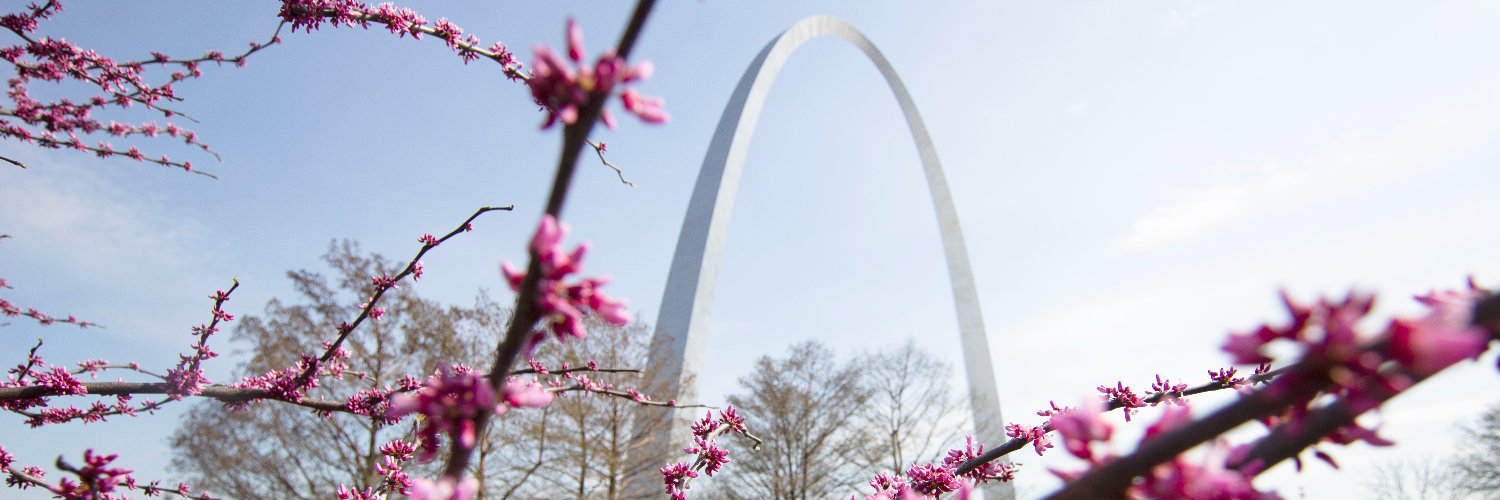 Gateway Arch banner