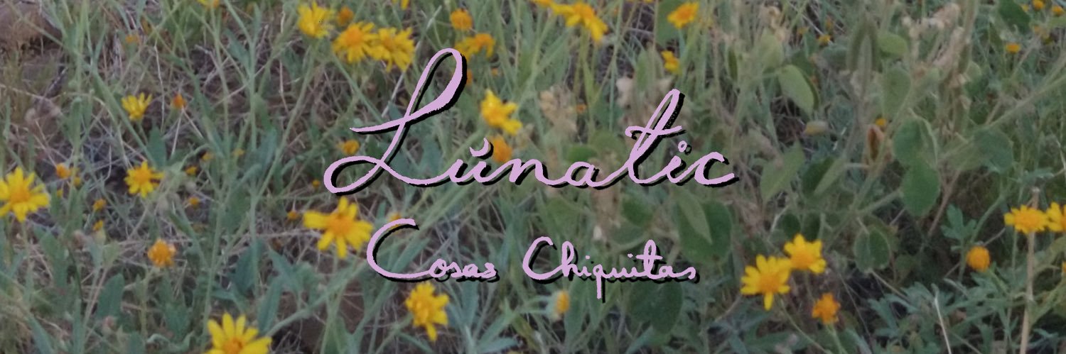 LunaticMusica's profile banner image