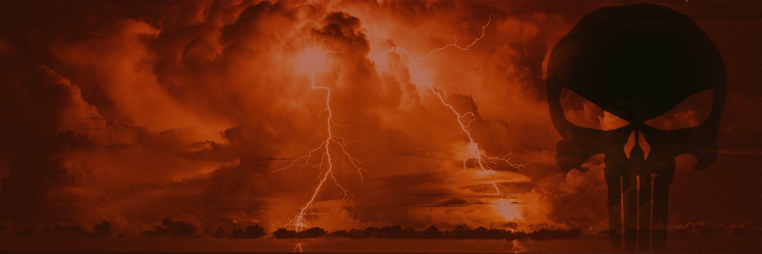 michelvanhattem's profile banner image