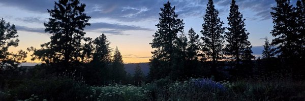 i_Quercus Profile Banner