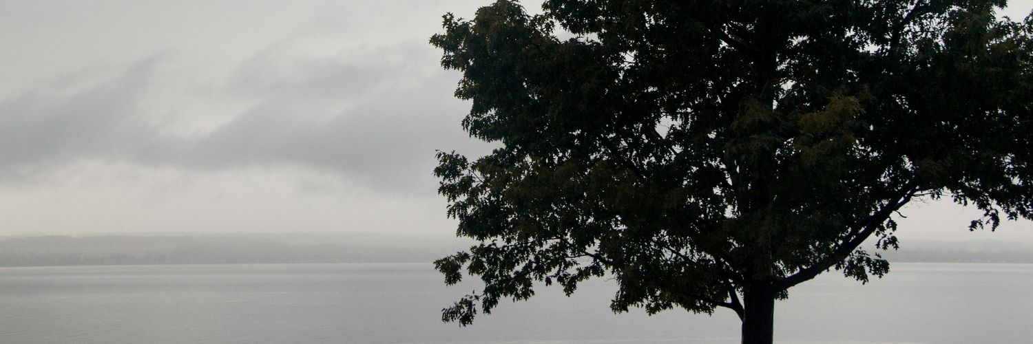 Chris Kav banner