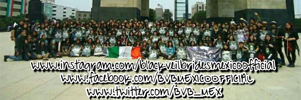 BVB_MEX's profile banner image