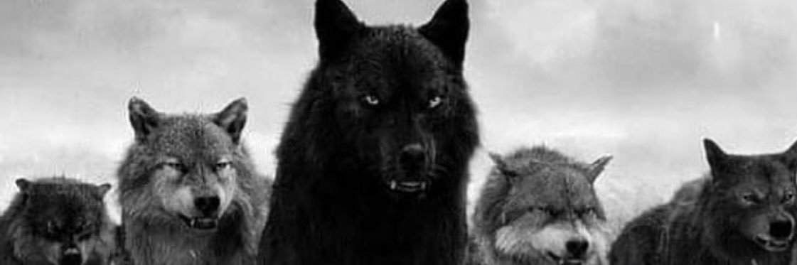 ewingster16's profile banner image
