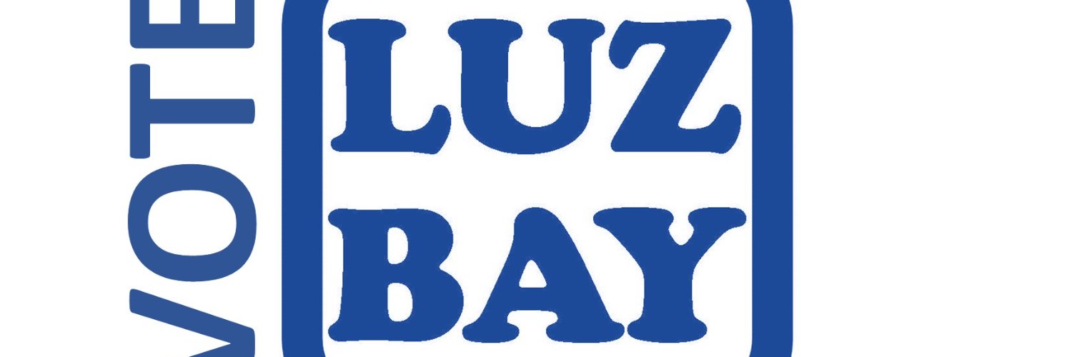 Luz Bay for NH State Representative banner