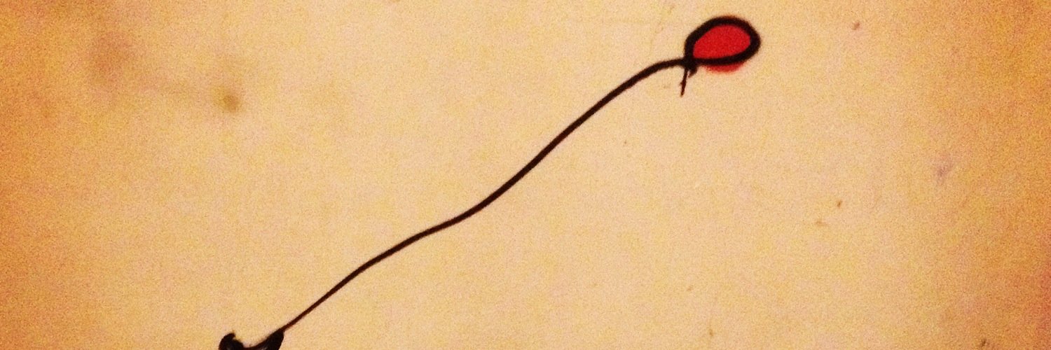 CheccaMonzali's profile banner image
