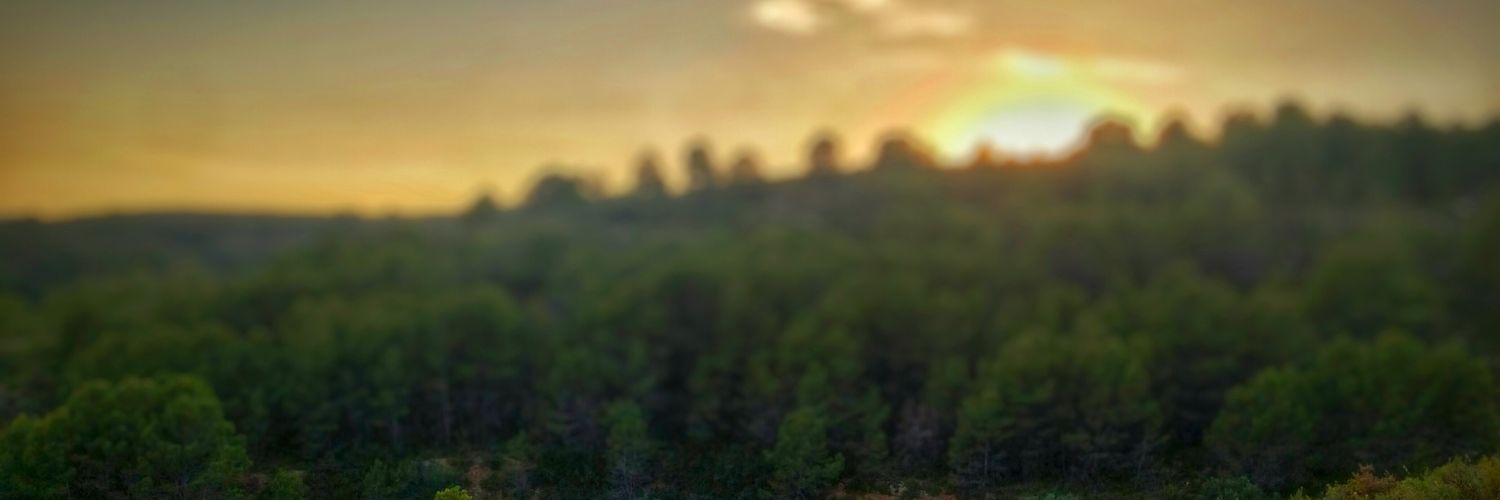 esperista's profile banner image