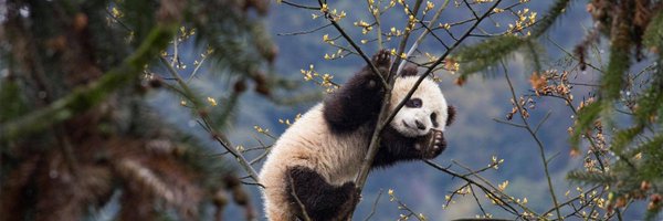 work_worth Profile Banner