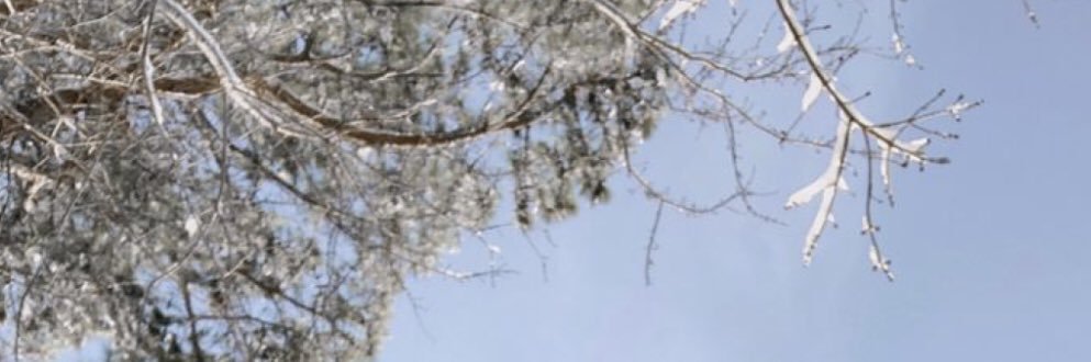 diorxdaph's profile banner image