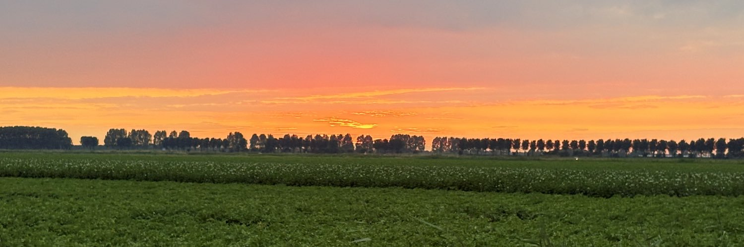 𝕊andra☀️ banner