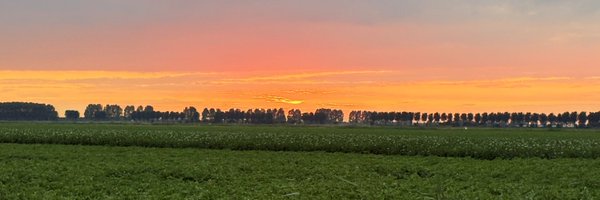 SunshineCheek Profile Banner