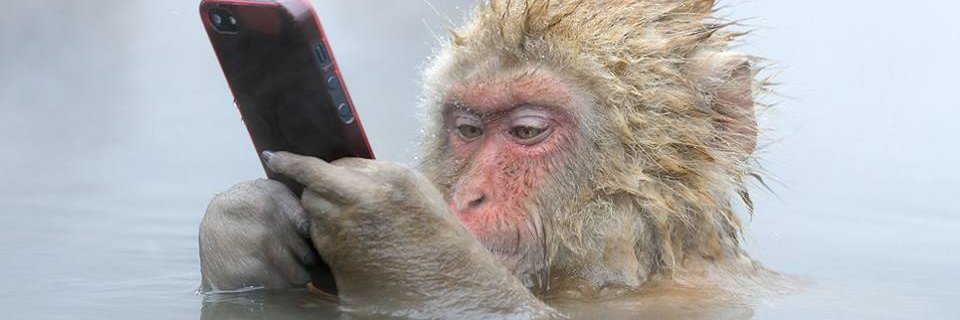 Arsenije “Archie” Ćatić banner