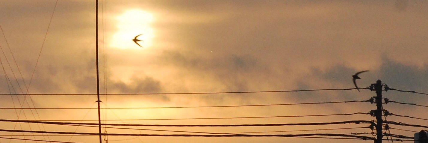 esolanobonet's profile banner image