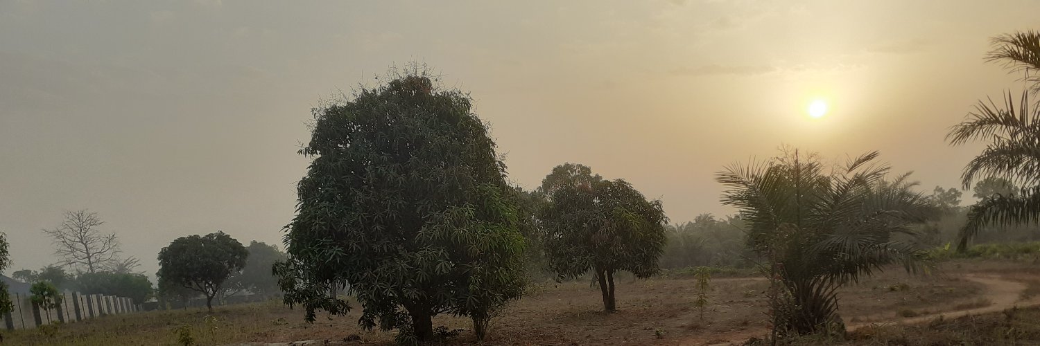 wilfredw's profile banner image