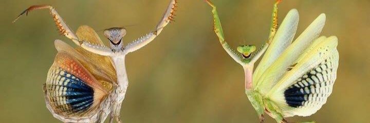 CeciliaFlatow's profile banner image