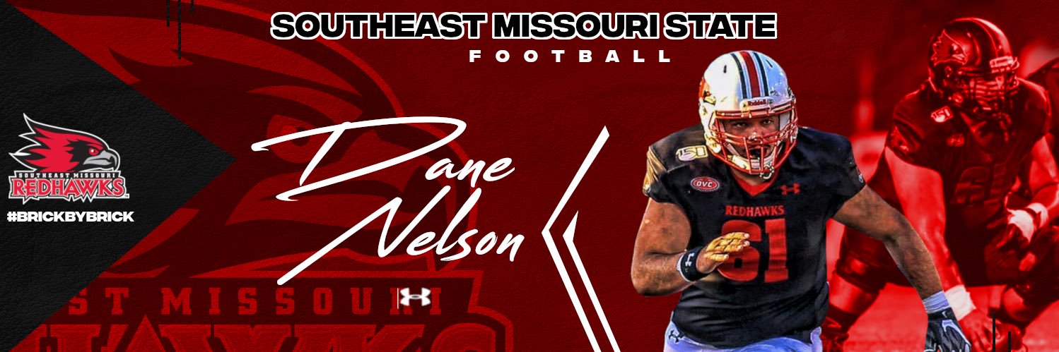 Dane Nelson banner