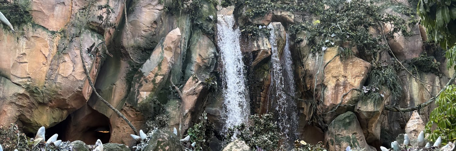 Callmebri🌱 banner