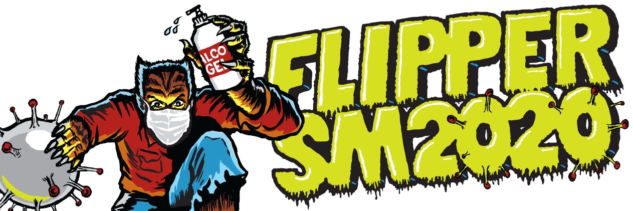 FlipperSM's profile banner image