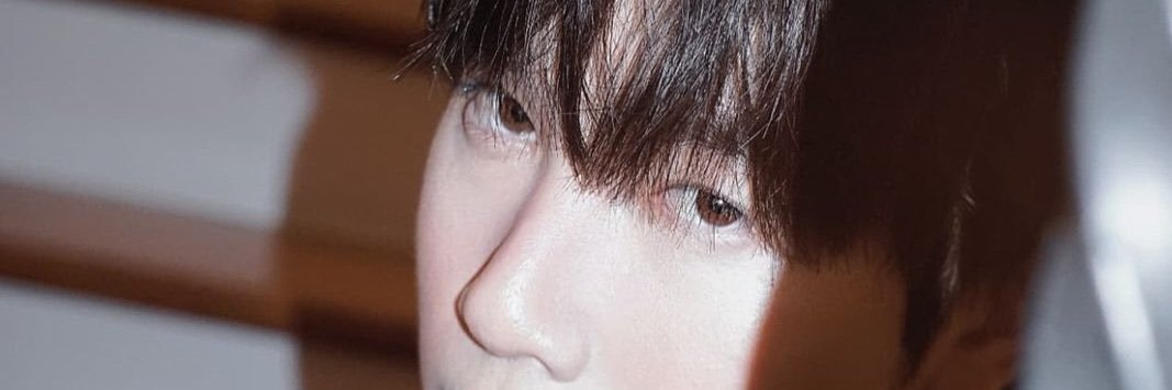 TY banner