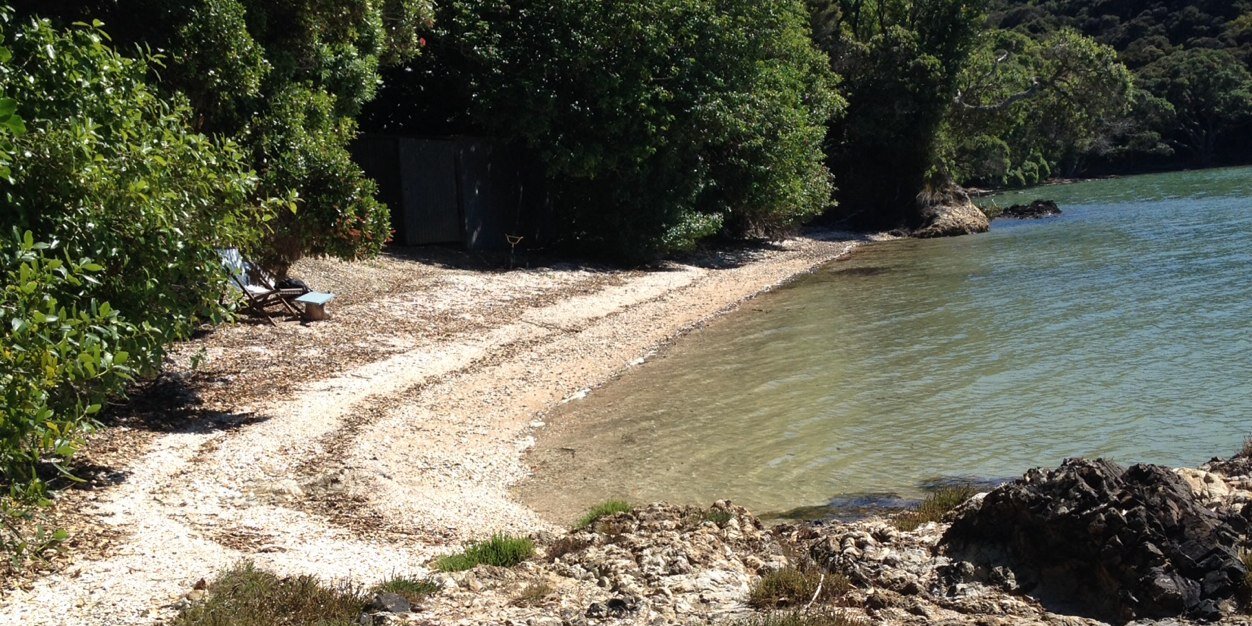 Matthew Willcox banner