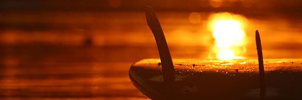 DillonSurfer Profile Banner