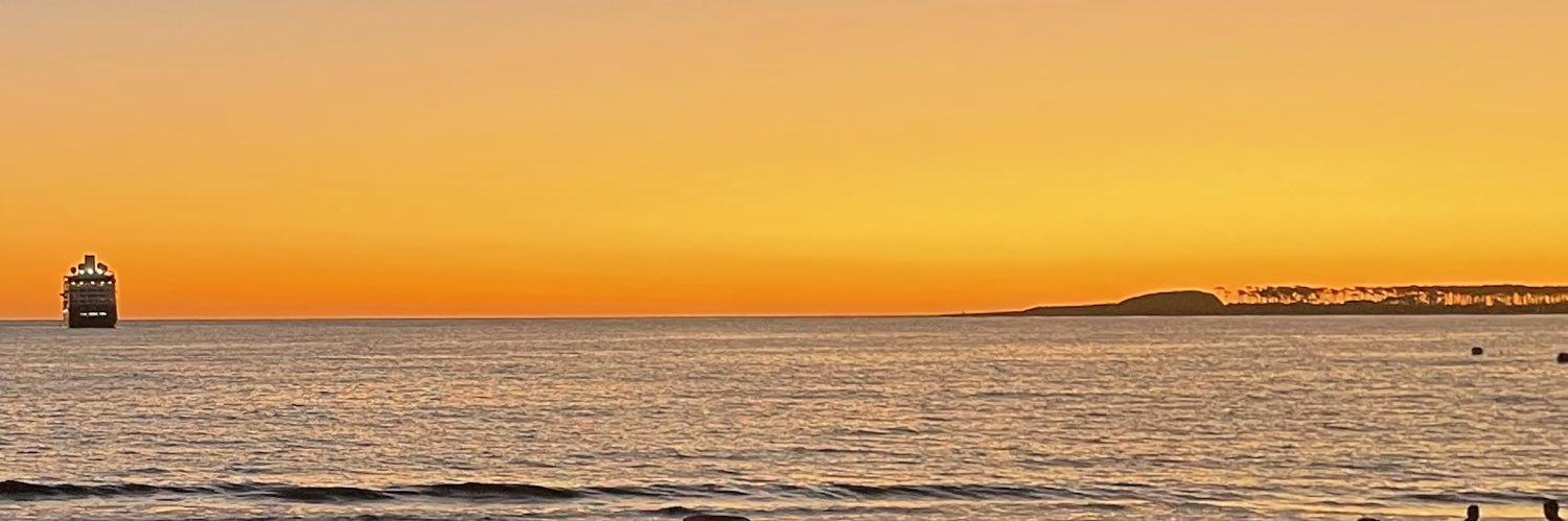nat banner