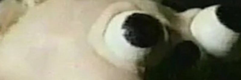 SonnyDied's profile banner image
