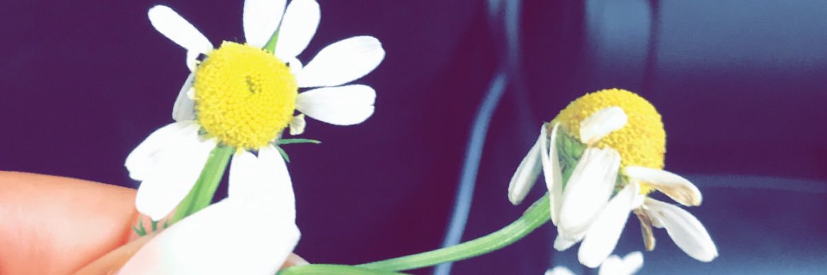 neyspx's profile banner image