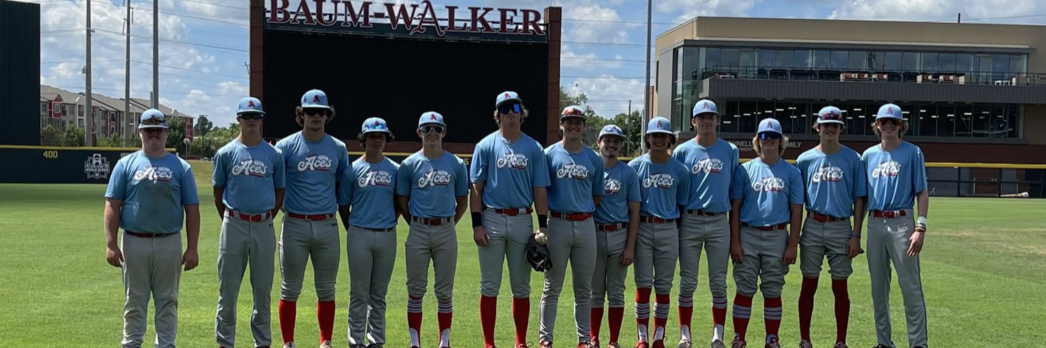 Springfield Aces Baseballπ²v🌶️ banner