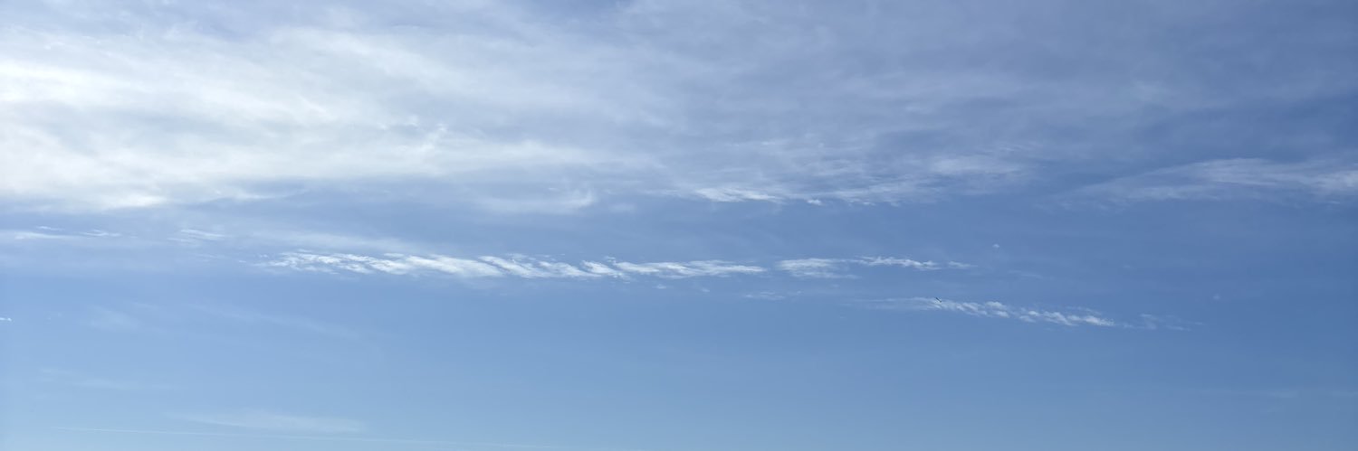 Max Church banner