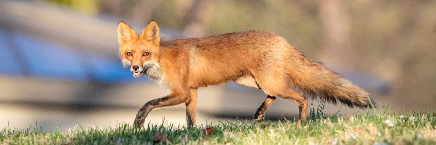 daquick's profile banner image