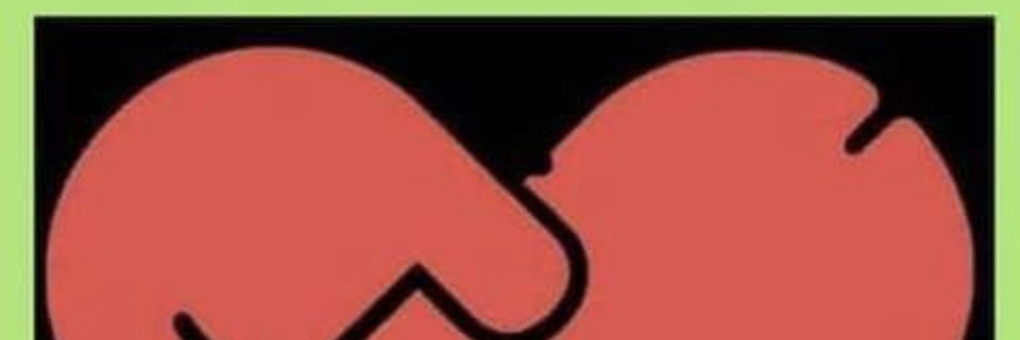 JuliAmorphous's profile banner image