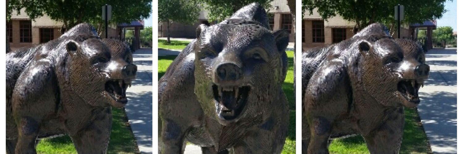 Basha Bear Nation banner