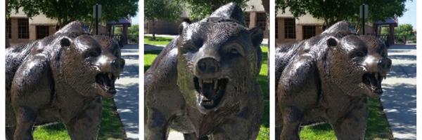 bashabearnation Profile Banner