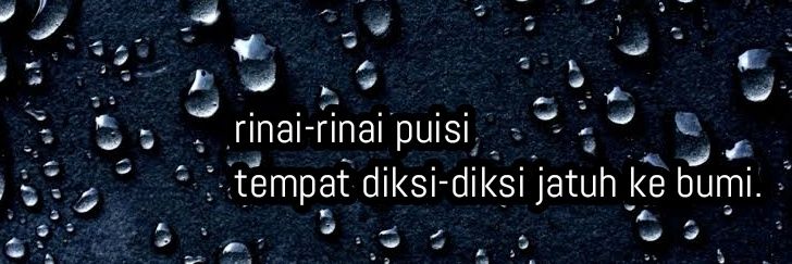 penagerimis_'s profile banner image