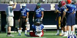 Official_Hamp's profile banner image