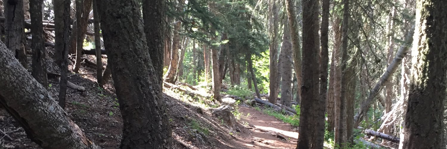KellyWoelke's profile banner image