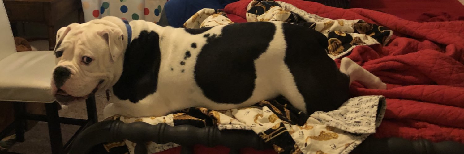 Bbbconner's profile banner image